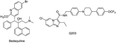 The Mycobacterial Membrane: A Novel Target Space for Anti-tubercular Drugs